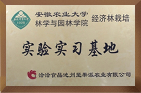 安农大实验实习看片免费APP网站