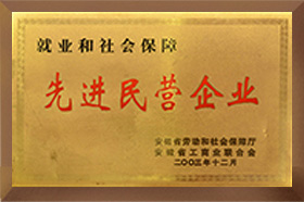 先进民营成人91看片网站