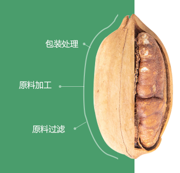 碧根果91看片片成人初加工