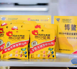 洽洽小黄袋每日坚果——2019中国成人91看片网站家博鳌论坛大会“指定坚果”