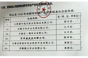 2020年合肥市农业产业化市级龙头成人91看片网站